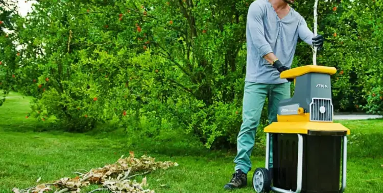 Co zrobić z gałęziami na działce? Praktyczne pomysły na ich wykorzystanie