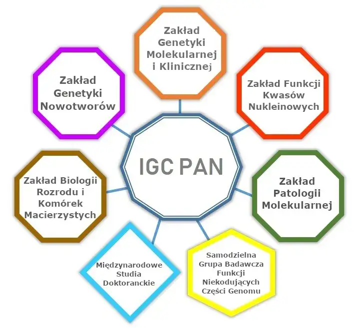 Czym zajmuje się biologia? Odkryj fascynujące obszary tej nauki