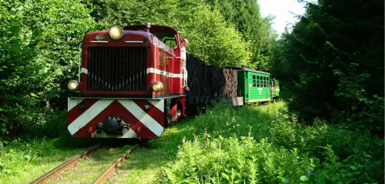 Polskie kolejki wąskotorowe: Podróż w czasie i praktyczny przewodnik