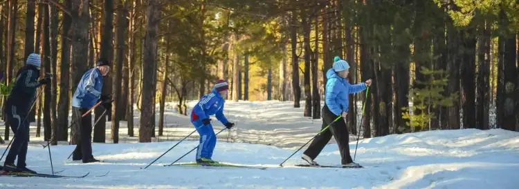 Wypożyczalnia nart Bukowina – najlepsze oferty i porady dla narciarzy