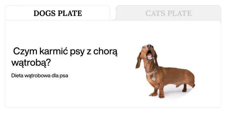 Pies z chorą wątrobą: Domowa dieta, przepisy, regeneracja