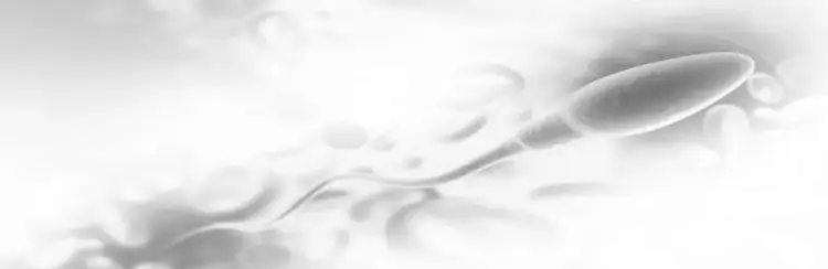 Jak przewieźć nasienie do badania, aby uniknąć błędów i strat