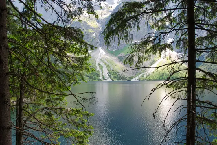 Spokojne Morskie Oko latem, otoczone zielenią drzew i majestatycznymi górami.