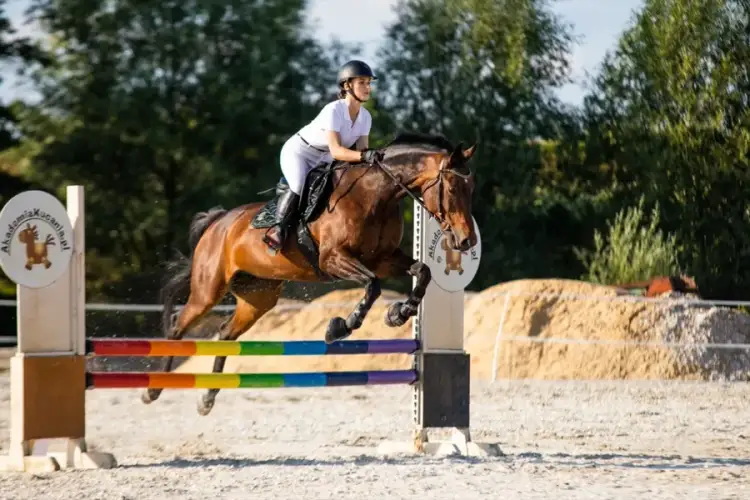 Ubezpieczenie NNW jeździectwo – jak chronić się przed wypadkami?