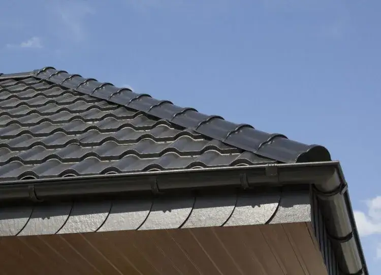 Cena gąsiorów dachowych: od najtańszych do luksusowych modeli