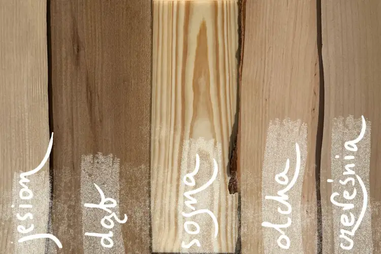 Próbki drewna: jesion, dąb, sosna, olcha, czeresnia. Podpowiadamy, jak wybrać drewno na meble.