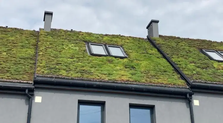 Zielone dachy: Nowoczesne rozwiązania w architekturze miejskiej