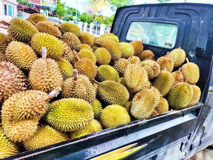 Gdzie kupić duriana w Polsce? Top 5 miejsc z egzotycznymi owocami