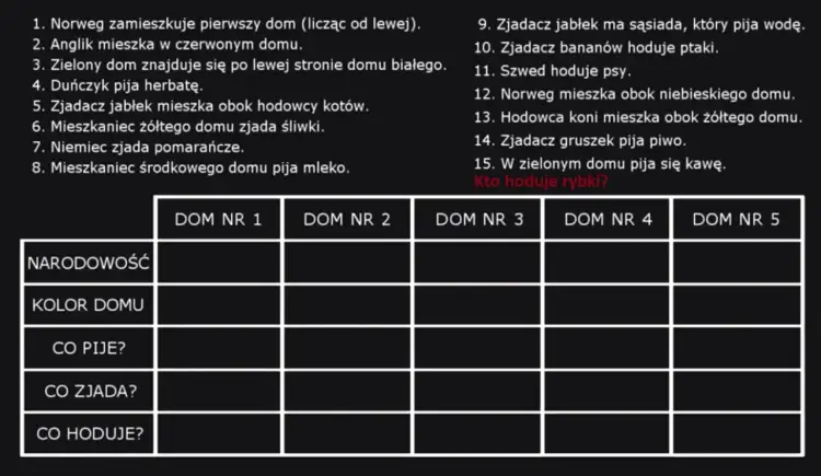 Rozwiązanie zagadki Einsteina o statkach: pełna treść i wyjaśnienie