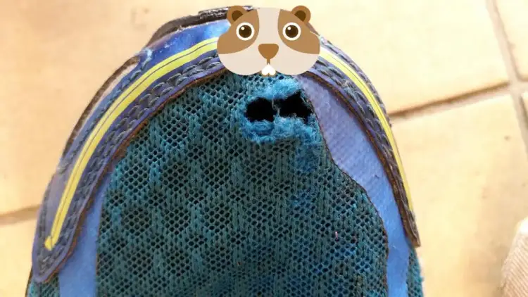 Jak reklamować buty - uniknij problemów z wadliwym obuwiem