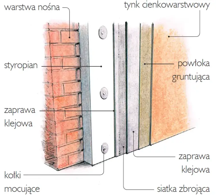 Warstwy ściany wewnętrznej: struktura, funkcje i znaczenie