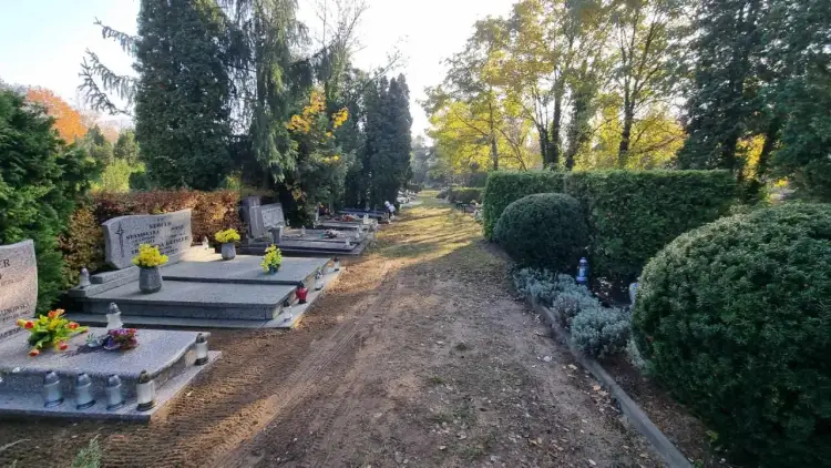 Alejka na cmentarzu w Poznaniu, z nagrobkami i zielenią. Wyszukiwarka cmentarna poznań pomoże odnaleźć bliskich.