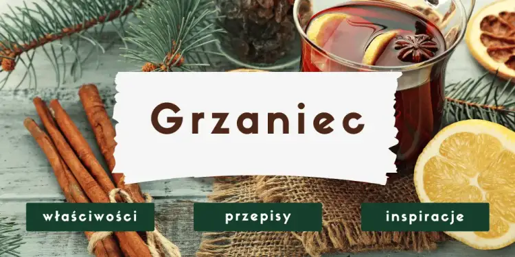 Grzaniec: Jak zrobić idealny napój rozgrzewający? Przepisy