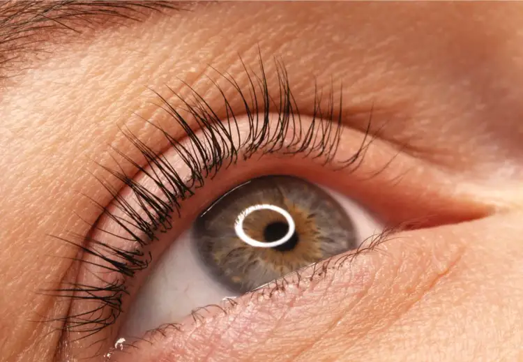 Zbliżenie na oko z pięknie podkręconymi rzęsami. Zastanawiasz się, ile czasu utrzymuje się laminacja rzęs? Efekt utrzymuje się zazwyczaj 4-6 tygodni.