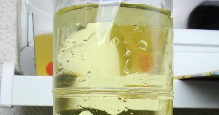 Eksperyment z wodą i olejem: proste doświadczenie dla dzieci, które zaskoczy