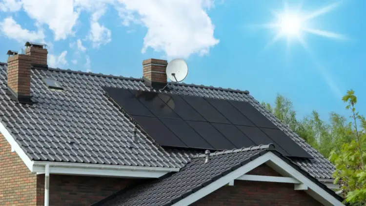 Panele Eco Delta: Innowacyjna Technologia Fotowoltaiczna