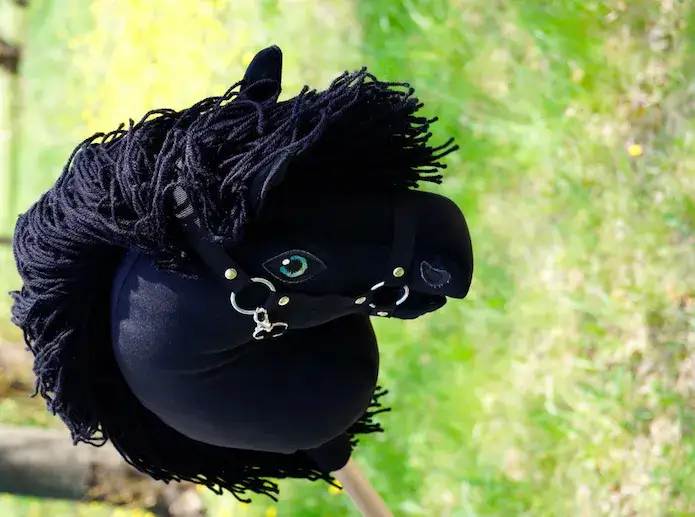 Od zabawy do sportu: Jak hobby horse zdobywa świat