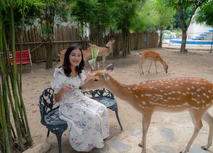 Agroturystyka jakie podatki: uniknij nieprzyjemnych niespodzianek