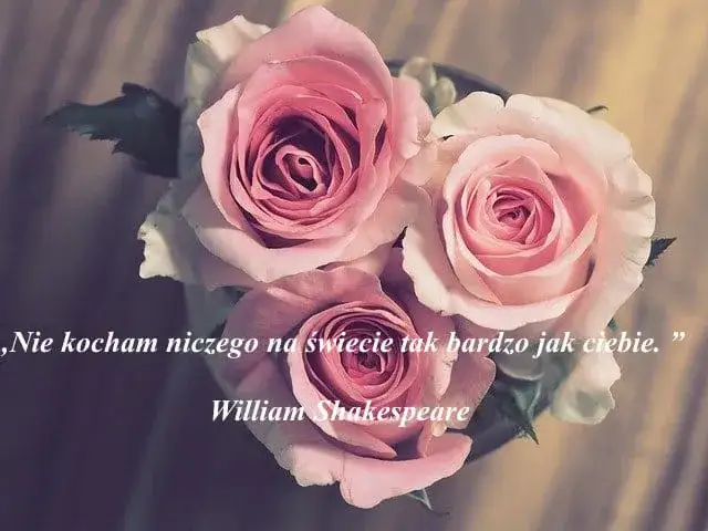 Cytaty z do wszystkich chłopców których kochałam, które poruszają serce