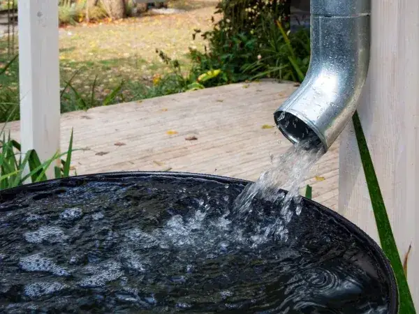 Czy warto robić zbiornik na deszczówkę? Oszczędności i korzyści ekologiczne