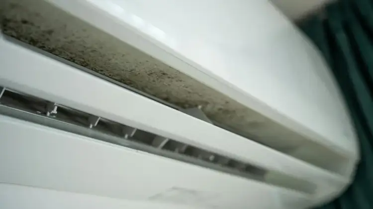Zanieczyszczona klimatyzacja domowa. Czy dezynfekcja klimatyzacji domowej pianką z marketu jest skuteczna? Widać pleśń i brud.