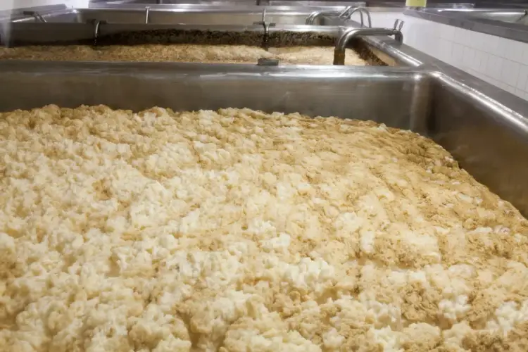 Piana w kadziach, która przypomina, kiedy wynaleziono alkohol. Proces fermentacji trwa.