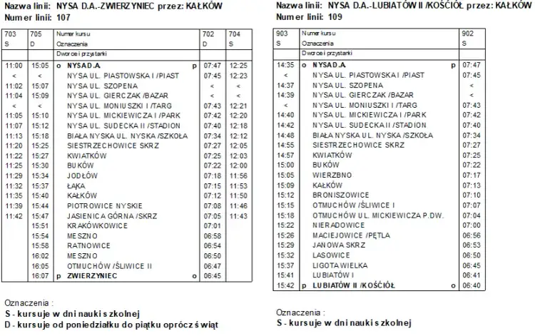Skąd odjeżdża autobus Nysa? Adres, przewoźnicy, dojazd!