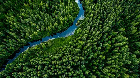 Czy LPG jest ekologiczny? Odkryj prawdę o jego wpływie na środowisko