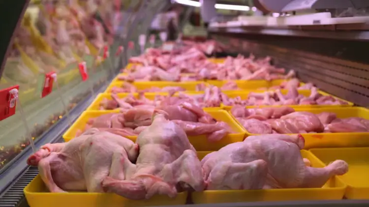 Co zrobić gdy mięso z kurczaka śmierdzi - uniknij zatrucia pokarmowego