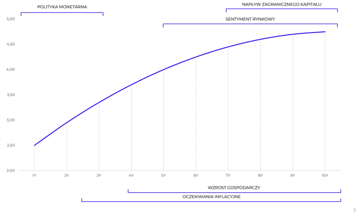 Krzywa rentowności: Jak odczytać sygnały rynku i inwestować?
