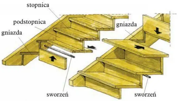 Schematyczne przedstawienie schodów drewnianych z oznaczeniami: stopnica, podstopnica, gniazda, sworzeń. Ilustracja pokazuje, jak narysować schody na rzucie.