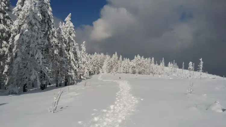 Dolina Czarnej Wisełki: Szlak idealny? Z wózkiem, zimą, na Baranią!