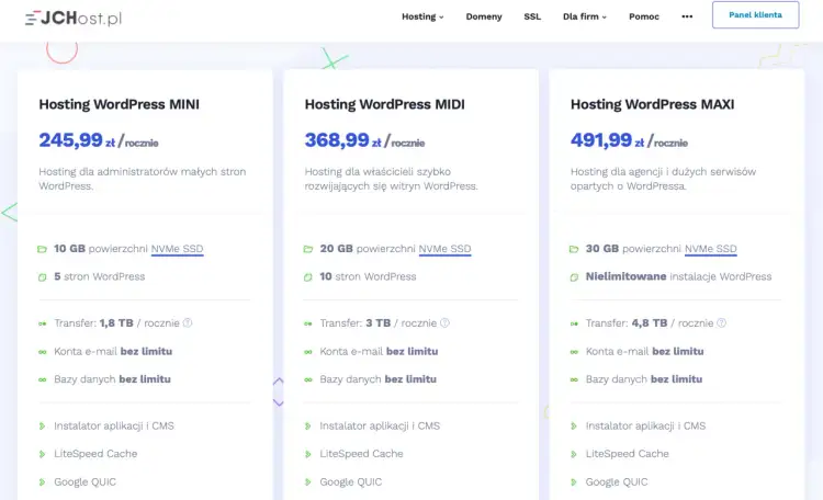 Koszty utrzymania strony WWW: Ile naprawdę zapłacisz rocznie?