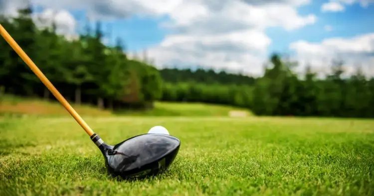 Jak się nazywa bluza do jazdy konnej? Poznaj różne typy odzieży jeździeckiej