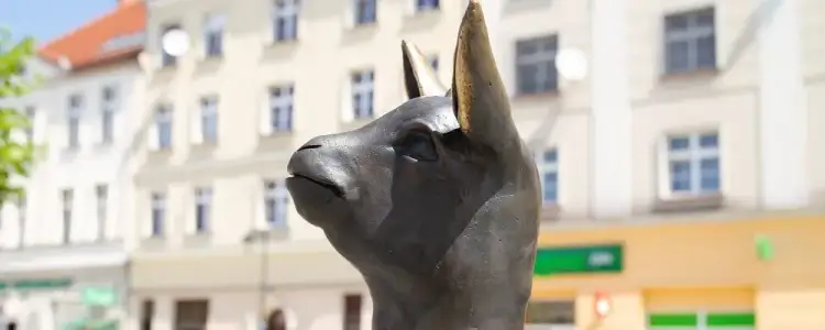 Najlepsze atrakcje Kędzierzyn Koźle, które musisz zobaczyć