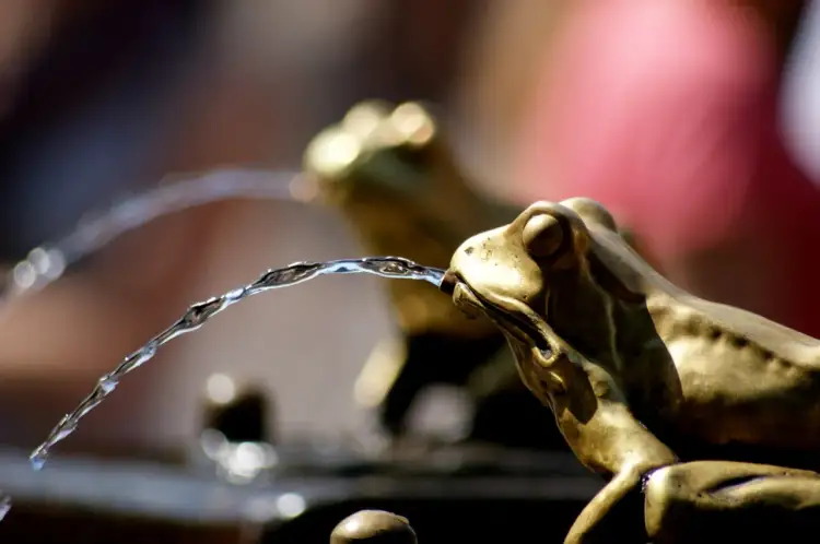 Jak mistrzowsko fotografować detale: 7 skutecznych technik