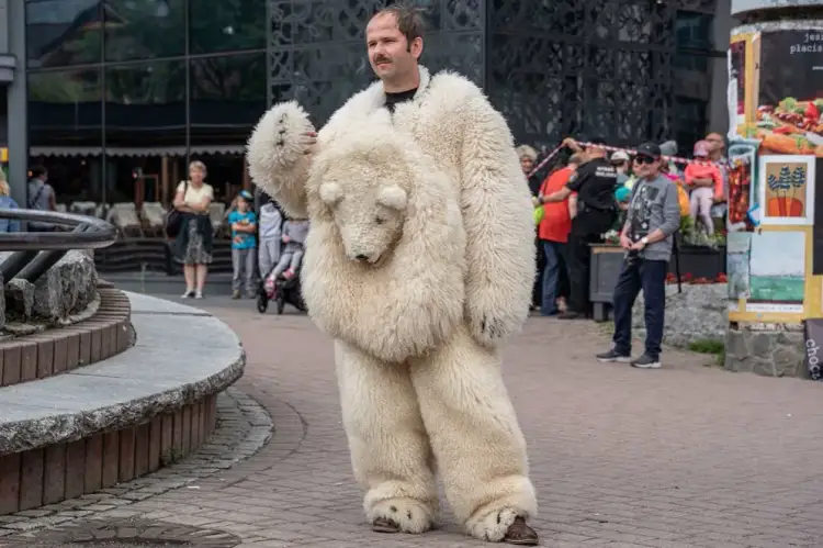 Futro z misia recenzja - co krytycy naprawdę myślą o filmie?