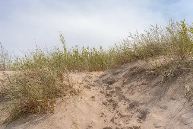 Ile waży kubik ziemi? Poznaj ciekawą prawdę o masie gleby