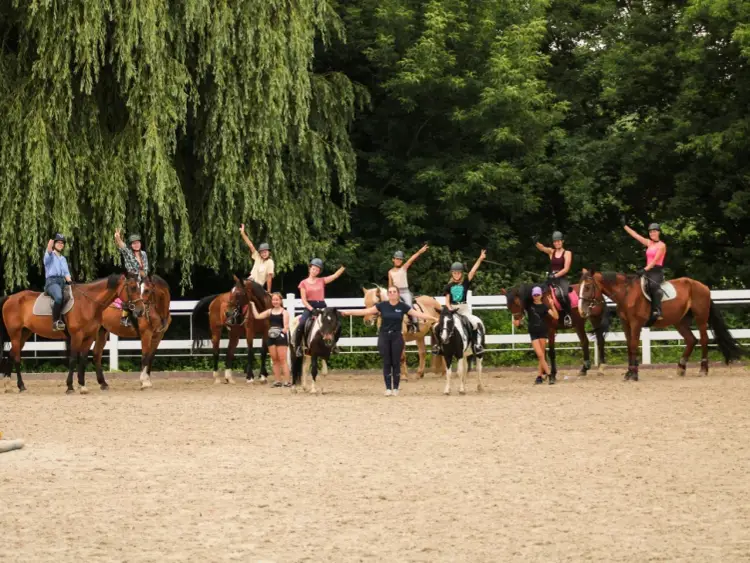 Zbrosławice: Jazda Konna, Cennik, Obozy Odkryj Świat Pasji!