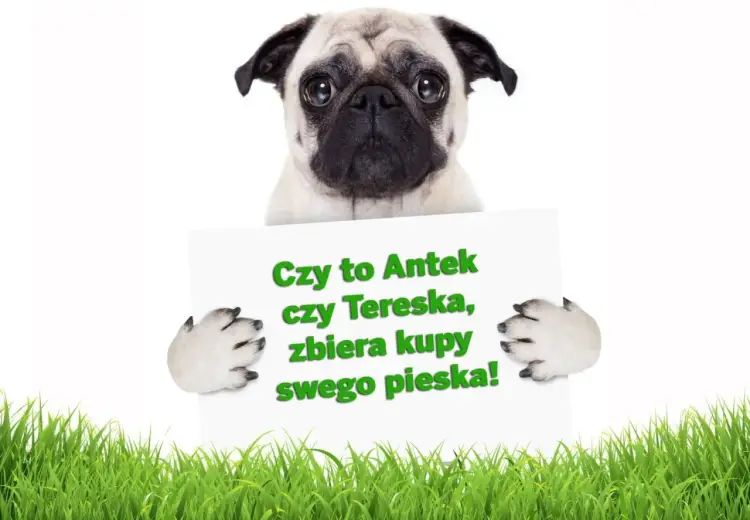 Wierszyki o pieskach: Rymowanki dla dzieci, klasyka i zabawa