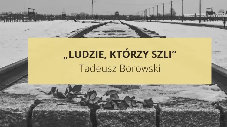 Człowiek zlagrowany: Opowiadania Borowskiego i mroczna prawda