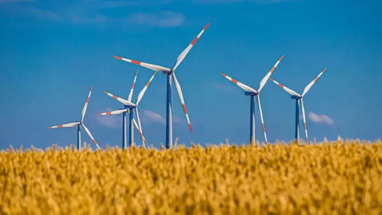 Udział energii wiatrowej w Polsce: Jak rośnie moc i przyszłość sektora