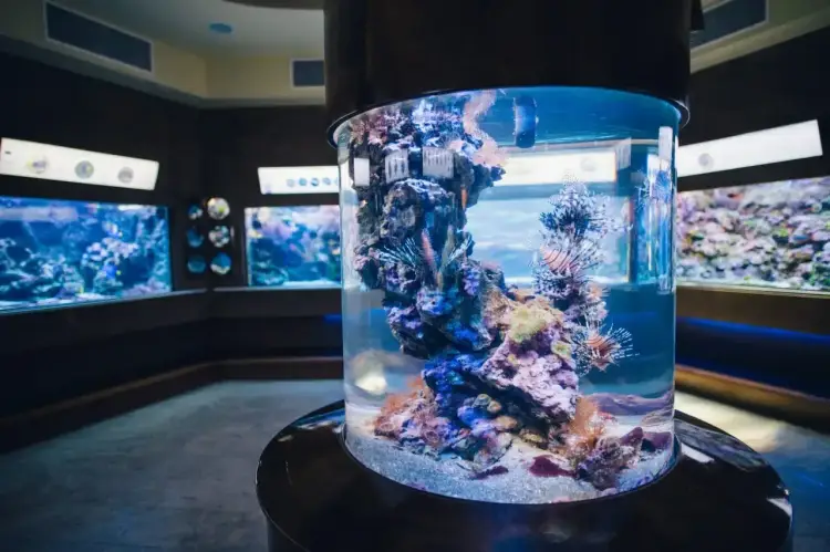Oceanarium Świnoujście - Ceny i jak nie przepłacić?
