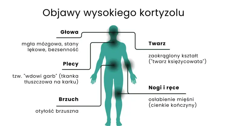 Zespół Cushinga - nadmiar kortyzolu? Objawy, leczenie, wsparcie