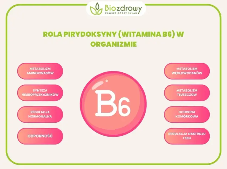 Witamina B6 - Ile naprawdę potrzebujesz i jak nie przesadzić?