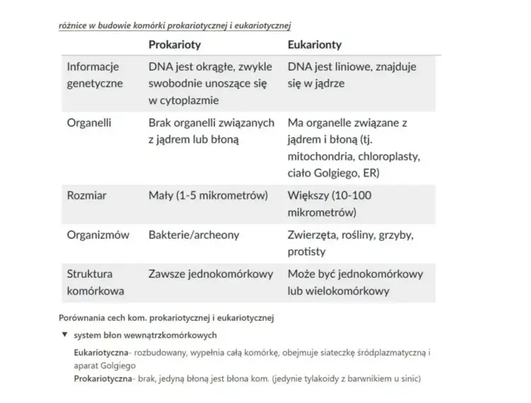 Komórki prokariotyczne i eukariotyczne - czy jądro to jedyna różnica?