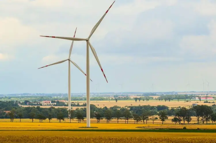 Energetyka wiatrowa - co decyduje o sukcesie?