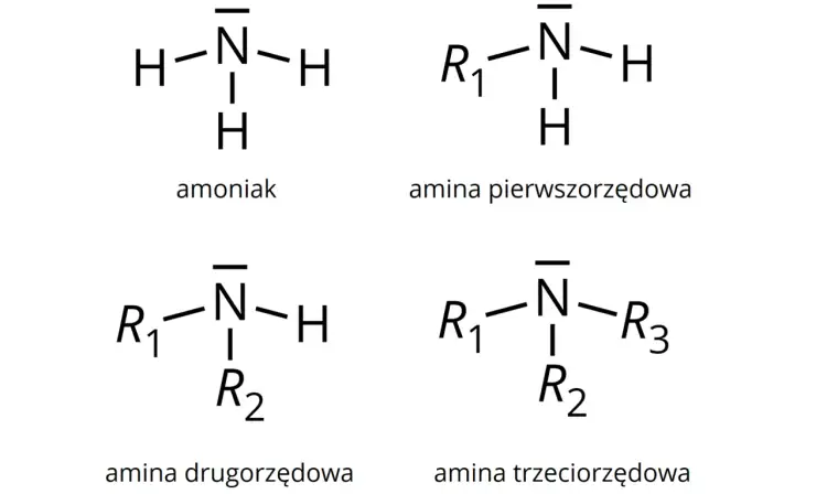 Amoniak NH3 - wzór, budowa i najważniejsze właściwości