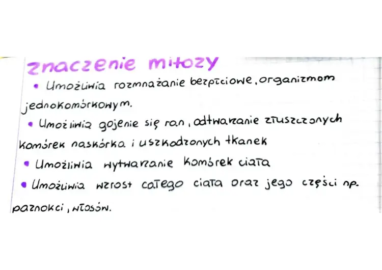 Mitoza i mejoza - Czym się różnią i jak je łatwo zrozumieć?
