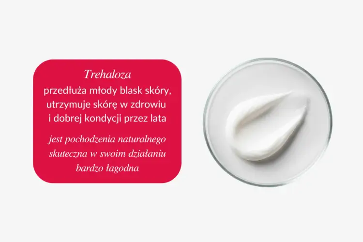 Trehaloza: Cukier Życia dla Twojej Skóry - Właściwości i Zastosowanie